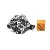 Meteorit Campo del Cielo  35,9 g