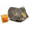 Meteorit NWA X 33,9 g