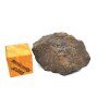 Meteorit Abadla 004 / Winonait / 7,8 g
