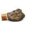 Meteorit BECHAR 008 / Howardit / 15,7 g