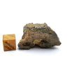 Meteorit BECHAR 008 / Howardit / 22,3 g