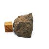 Meteorit BECHAR 008 / Howardit / 22,3 g