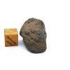 Meteorit Abadla 004 / Winonait / 12,4 g