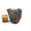 Meteorit Abadla 004 / Winonait / 13,2 g
