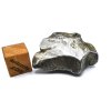 Meteorit Aletai 16,9 gr.