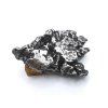 Meteorit Campo del Cielo  55,2 g