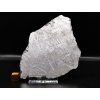 Meteorit Muonionalusta 172 g / řez
