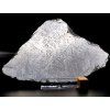 Meteorit Muonionalusta 153 g / řez