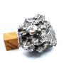 Meteorit Campo del Cielo  55,6 g