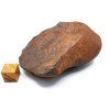 Meteorit NWA X 131,9 g