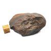 Meteorit NWA X 131,9 g