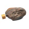 Meteorit NWA X 131,9 gr.