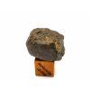Meteorit NWA 869 / 7-9 g