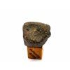Meteorit NWA 869 / 7-9 g