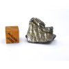 Meteorit Aletai 15,5 g