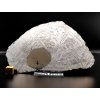 Meteorit Muonionalusta 748 g / koncový řez