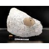 Meteorit Muonionalusta 748 g / koncový řez