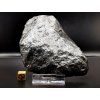 Meteorit Muonionalusta 748 g / koncový řez