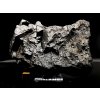 Meteorit Muonionalusta 2,2 kg / koncový řez