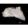 Meteorit Muonionalusta 2,2 kg / koncový řez