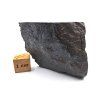 Meteorit Muonionalusta 81 g / koncový řez