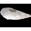 Meteorit Muonionalusta 2105 g / koncový řez