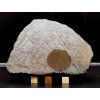 Meteorit Muonionalusta 2105 g / koncový řez