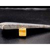 Meteorit Muonionalusta 106 g / řez