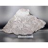 Meteorit Muonionalusta 141 g / řez