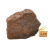 Meteorit NWA X 42,9 g