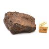 Meteorit NWA X 42,9 g