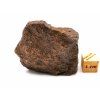 Meteorit NWA X 42,9 g