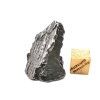 Meteorit Aletai 24,9 g