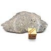 Meteorit NWA 14131 / Eucrit / 13,4 g