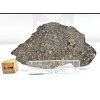Meteorit NWA 14131 / Eucrit / 13,4 g