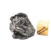 Meteorit Aletai 26,2 g
