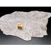 Meteorit Muonionalusta 74 g / řez