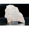 Meteorit Muonionalusta 74 g / řez