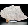 Meteorit Muonionalusta 74 g / řez