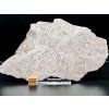 Meteorit Muonionalusta 74 g / řez