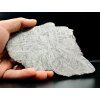 Meteorit Muonionalusta 74 g / řez
