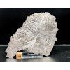 Meteorit Muonionalusta 70 gr. / řez