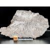 Meteorit Muonionalusta 70 gr. / řez