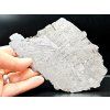 Meteorit Muonionalusta 70 gr. / řez