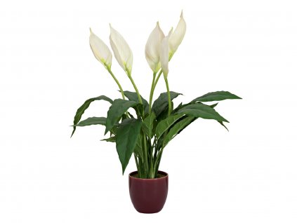 Bílá lilie v květináči, 49cm