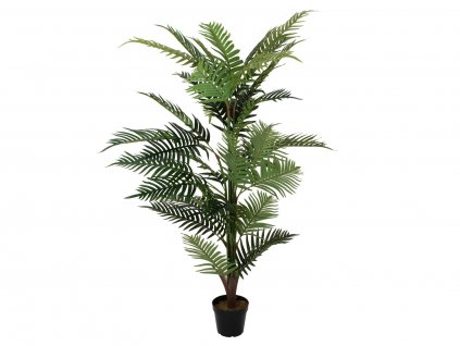 Palma Areca, 150 cm