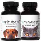 AminAvast