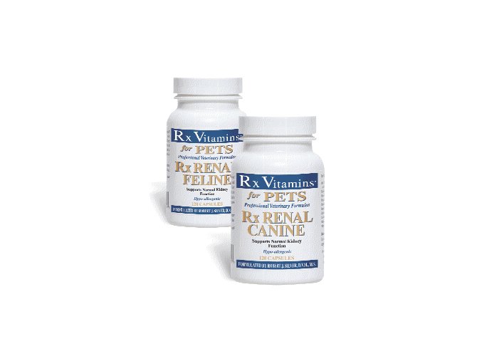 RX RENAL CANINE 120kaps