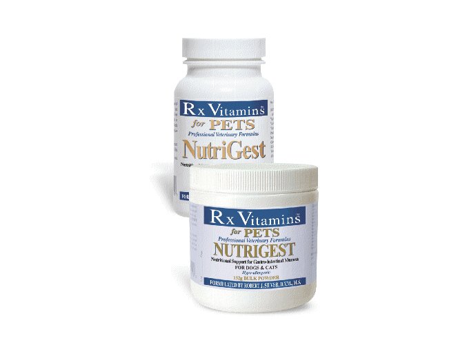 Rx Vitamins NUTRIGEST BULK POWDER 132g