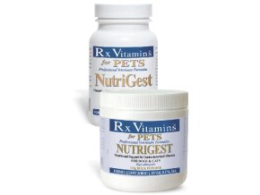 Rx Vitamins NUTRIGEST BULK POWDER 132g